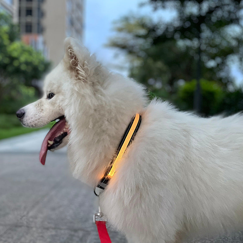 LED App-Controlled Pet Collar -
USB Rechargeable
