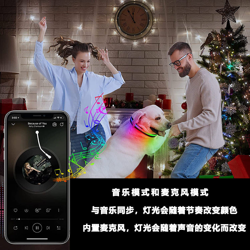LED App-Controlled Pet Collar -
USB Rechargeable
