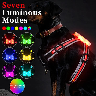 LED Dog Walking Safety Vest