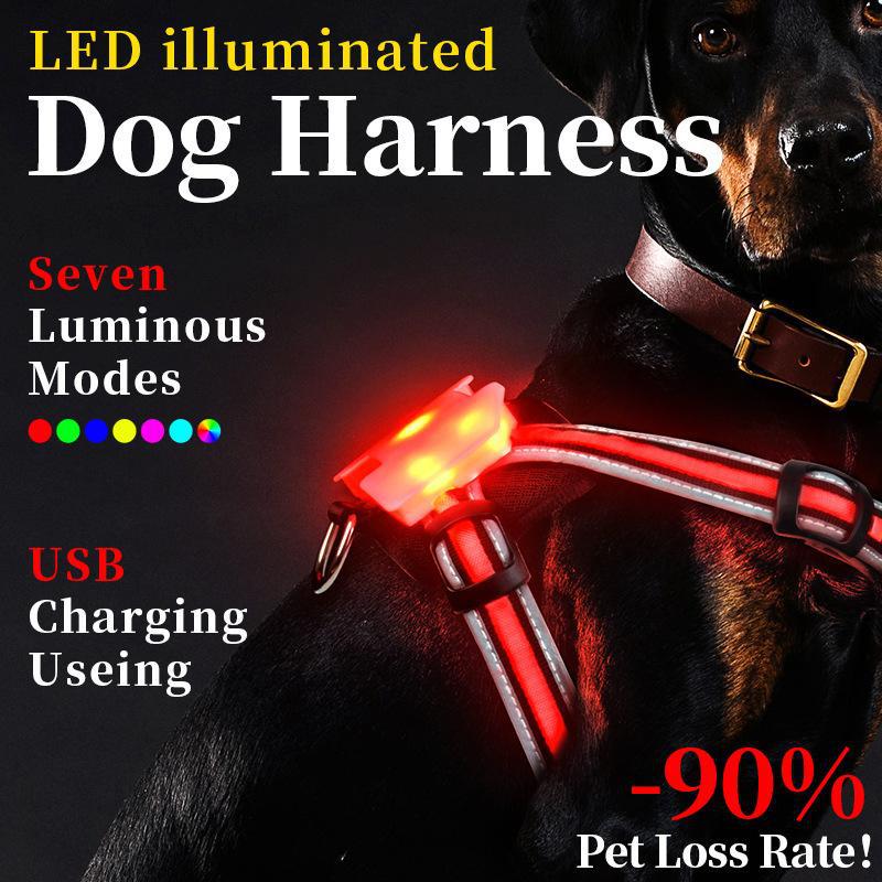 LED Dog Walking Safety Vest