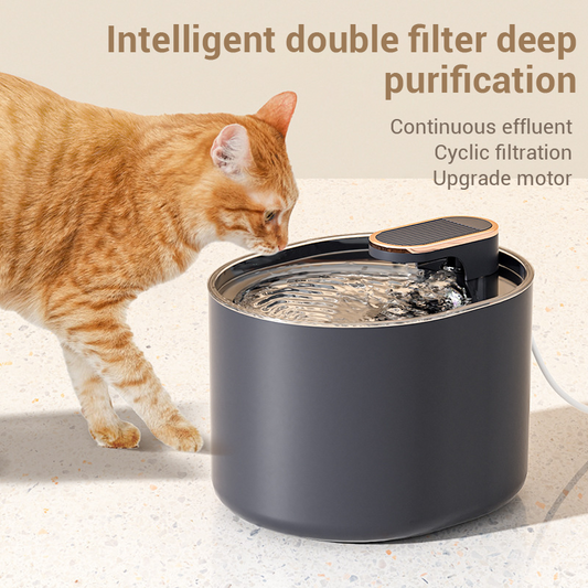 Automatic Filtering Pet Water Dispenser