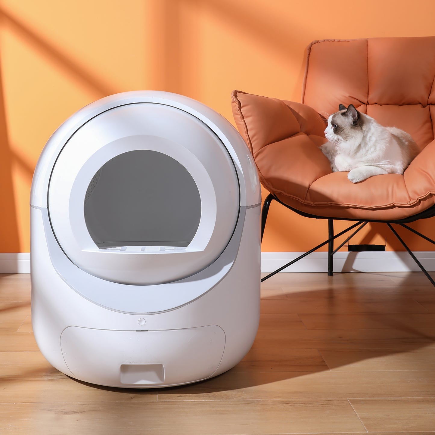 Smart WiFi Cat Litter Box – Multi-Cat & 5G