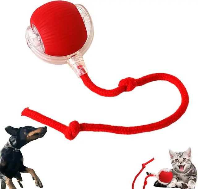 Bite-Resistant Auto Cat Teasing Ball with Rope
