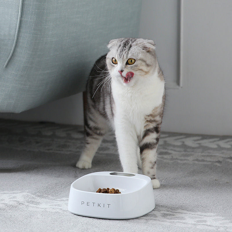 PETKIT Smart Weighing Dog Slow Feeder Bowl