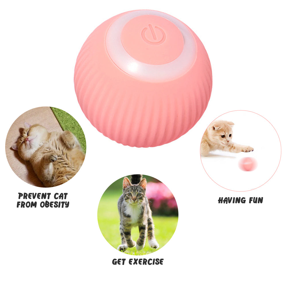 Electric Gravity Rolling Cat Ball Toy