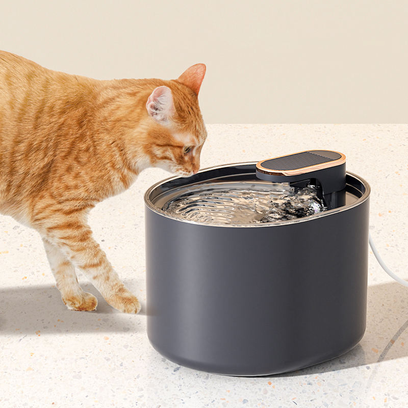 Large Capacity Auto Pet Water Dispenser