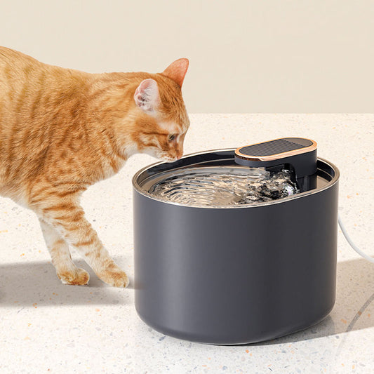 Large Capacity Auto Pet Water Dispenser