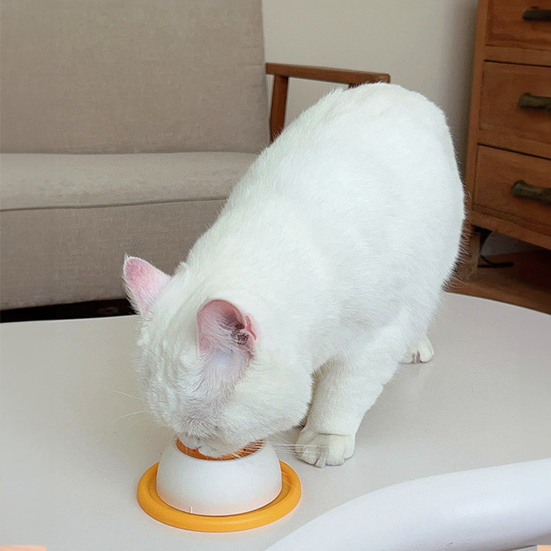 Slow Feeder Lick Mat for Dogs & Cats