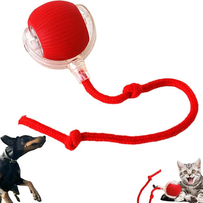 Bite-Resistant Auto Cat Teasing Ball with Rope