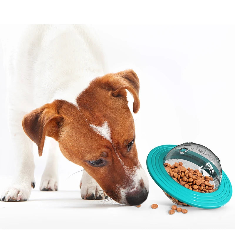 Dog Flying Saucer Slow Feeder Toy