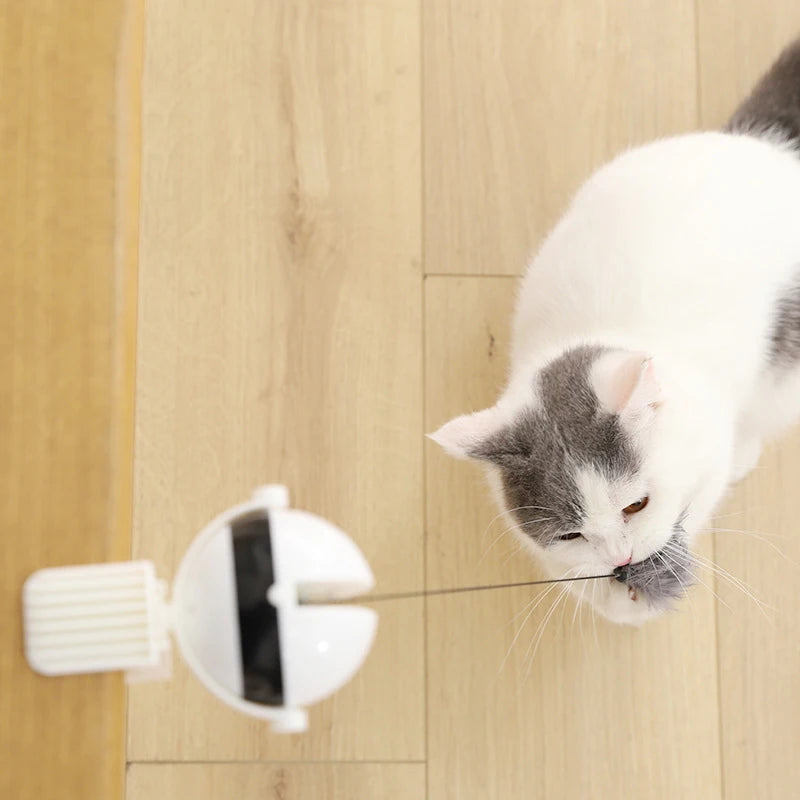 Electric Lifting Cat Ball Teaser Toy