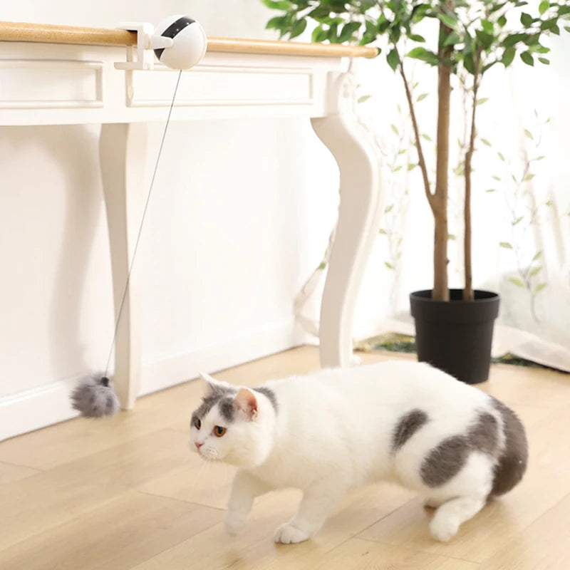 Electric Lifting Cat Ball Teaser Toy
