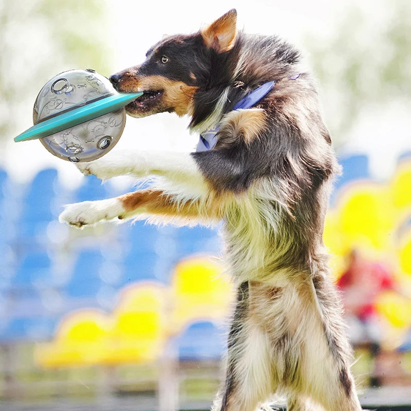 Dog Flying Saucer Slow Feeder Toy