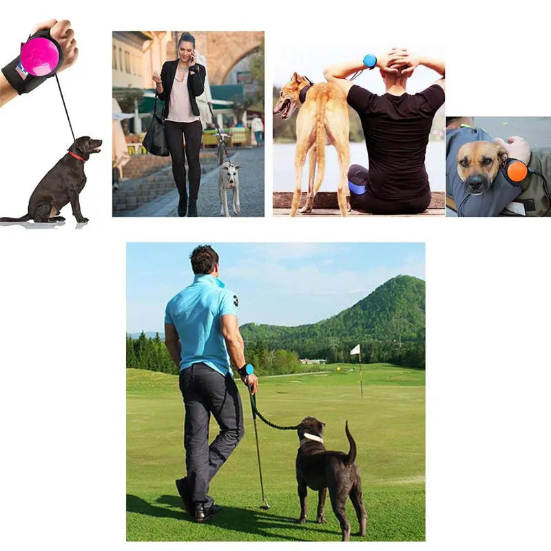 Hands-Free Wrist Dog Leash – 3M Retractable