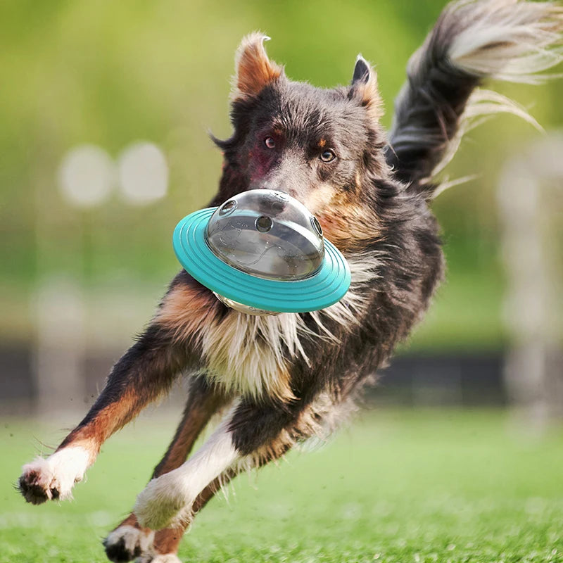 Dog Flying Saucer Slow Feeder Toy